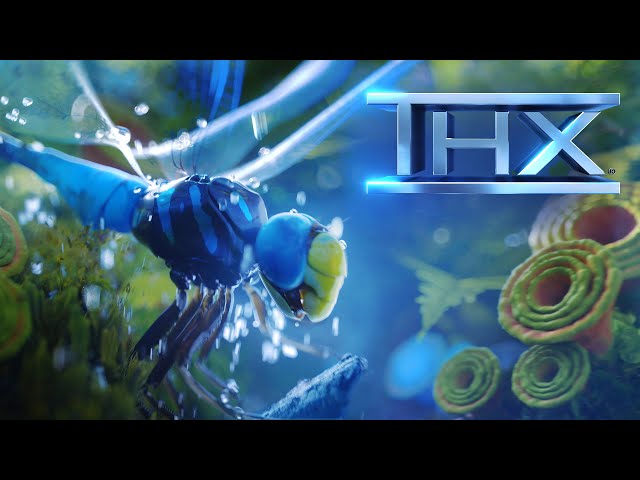 YouTube Video -