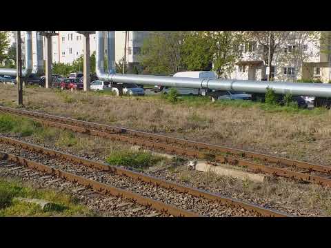 IR 1833 ( Iasi - Timisoara Nord )