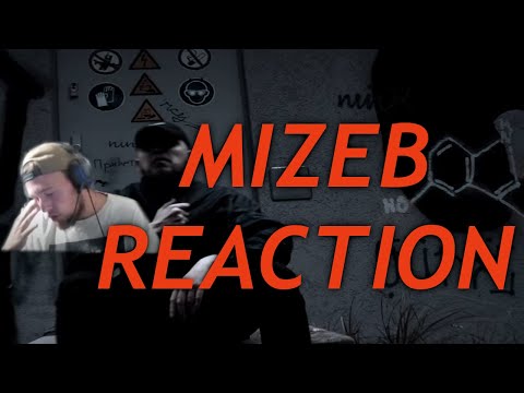 MIZEB ALLEIN GEGEN ALLE DISSTRACK REACTION DAS WILL ICH AUF ALBUM LÄNGE
