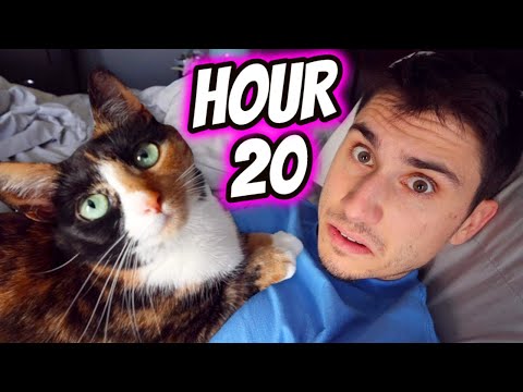 I Spent 24 HOURS With My Cat!