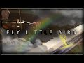 Fly little bird | HGF-Orchestra