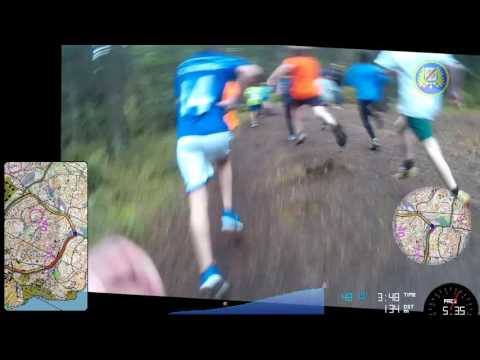 Lilla Lidingöloppet 2015