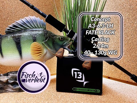 Meine neue Combo! 13 Fishing Concept A3 Gen 2 CA3-6.3-LH und Fate Black Casting 74XH2 2.24m 40-130g