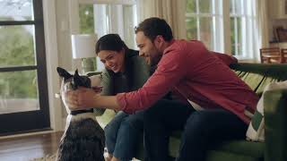 PetSmart G R E E N I E S 5X Treats Rewards Points