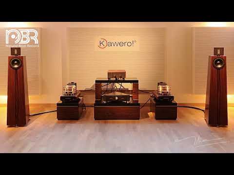 Hi Res Audiophile Test Speaker - High Quality Music - Natural Beat Records