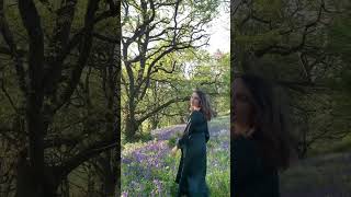 Roseberry Topping UK #bluebells #nature #travelvlog