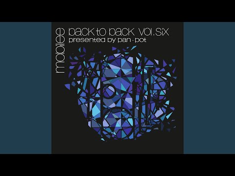 Lifetimes (Pan-Pot Tribute to Life Remix)