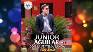 Junior Aguilar Con La Septima Banda - Vida Recia (Estudio 2014)