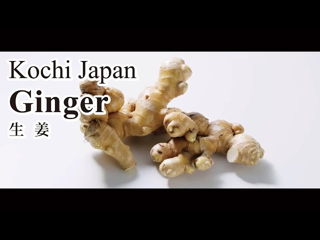 How to make ginger chicken with fresh ginger from Kochi