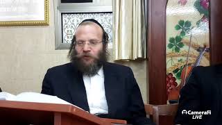 שיעור אור החיים פרשת לך לך תש"פ | הרב צבי חלמיש שליט"א
