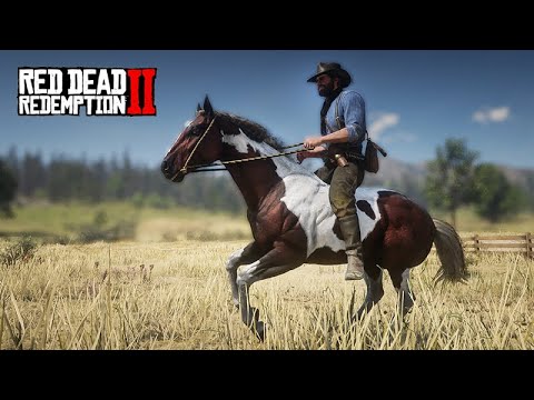 Taming the First Horse - John Marston's New Farm - Red Dead Redemption 2
