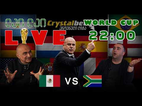 მსოფლიო ჩემპიონატის პირველი ლაივი ქეცბასთან ერთად 🟢❤️