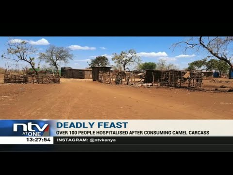 Meru: Over 100 people treated after eating camel carcass