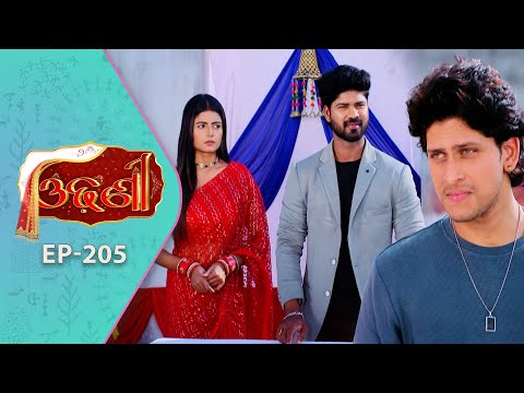 Odhani | Full Ep - 205 | 5th Nov 2025 | Odia Serial | TarangTV | Tarang Plus