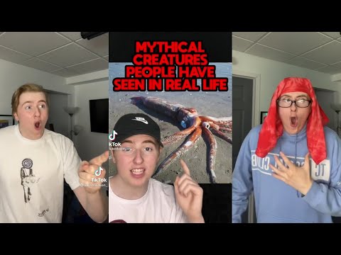 Luke Davidson: TOP 100 Tiktoks SUMMER 2021🤣