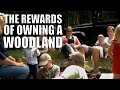 The Rewards of Owning a Woodland