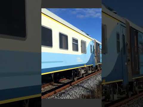 Tren a toda velocidad por General Guido  #argentina #trenesargentinos #generalroca #trenes