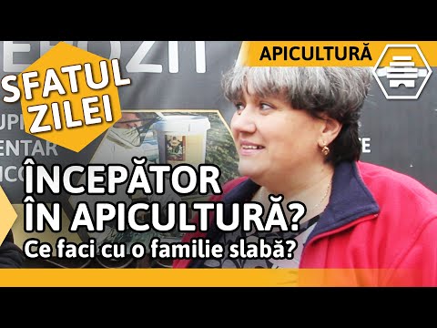 ÎNCEPĂTOR ÎN APICULTURĂ? Ce faci cu o familie slabă? [Sfatul zilei 23.05.2020]