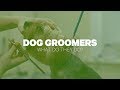 Scarbrough Animal Hospital - From $17 - Sunrise, FL | Groupon Scarbrough Animal Hospital - From $17 - Sunrise, FL | Groupon