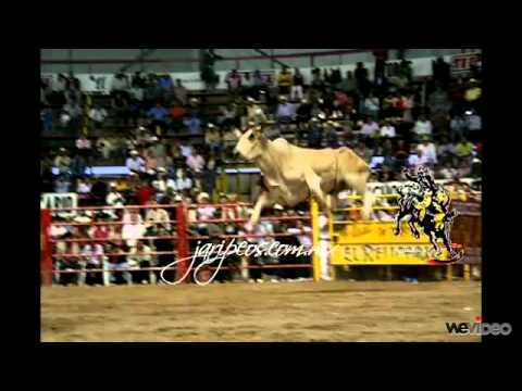 Salvaje de la Sierra El Corrido del Liebro