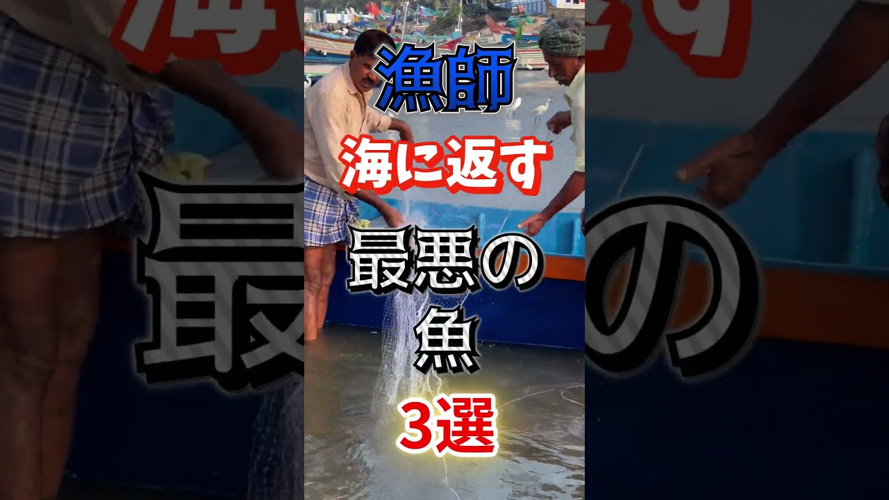 【1位は高齢者が好きな魚だ⁉】漁師が海に返す最悪の魚⁉#雑学 #健康 #医学 #ファッション #開運 #名言 #知恵