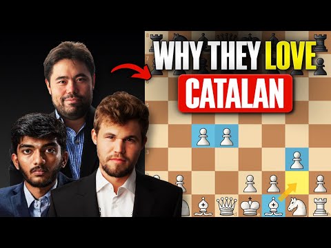 Crush Everyone with the Most Solid Opening for White After 1.d4