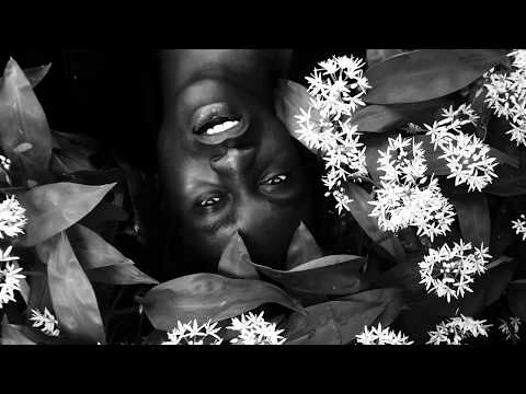 KROKOTHEGAWD - LA RIVIERA DE LLAMAS (PROD. RED)