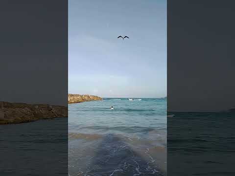 Isla de Margarita# Playa el Tirano. Nueva Esparta# Venezuela