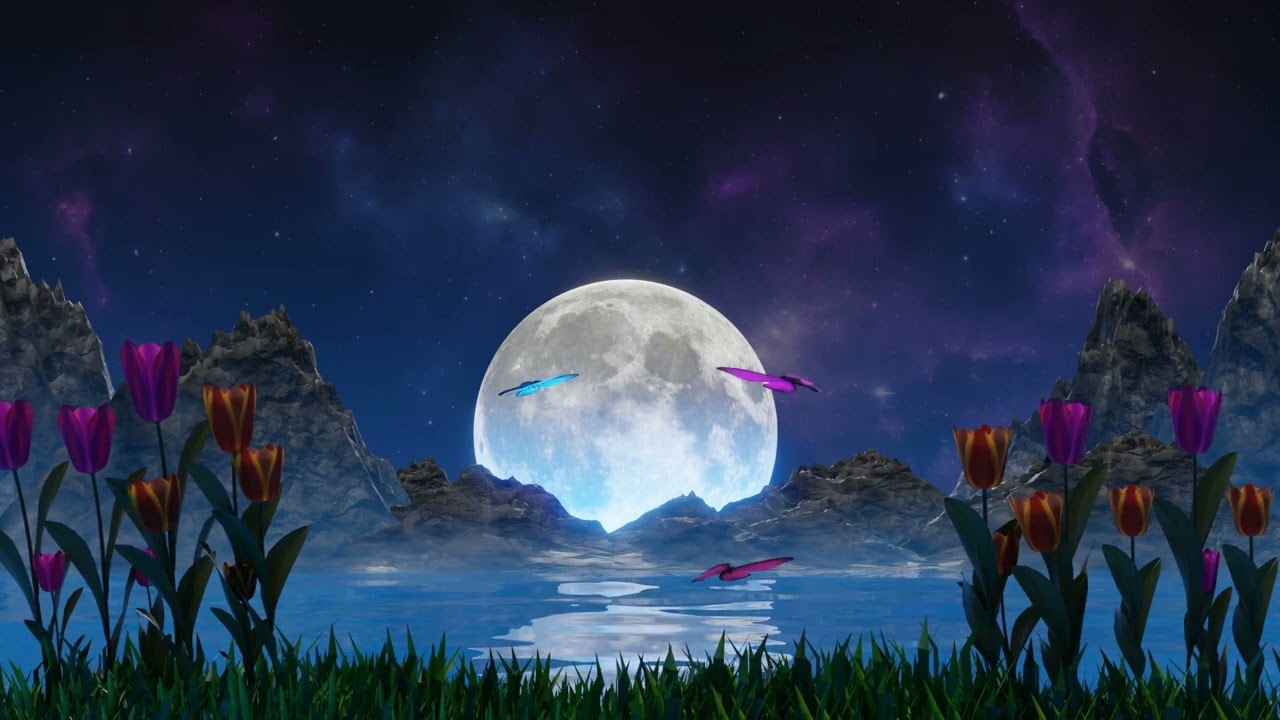 Moonlight: with Beautiful Piano Music , DEEP SLEEP 💤 Sleep Instantly Relaxing Sleep Music healing