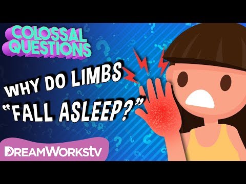 Why Do Body Parts “Fall Asleep”? | COLOSSAL QUESTIONS