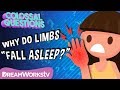 Why Do Body Parts Fall Asleep COLOSSAL QUESTIONS