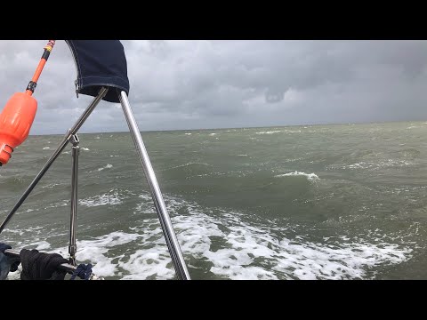 Segeln - Sailing Segeln Nordsee Waddensee Törn 7. Tag Harlingen - Stavoren Ijsselmeer
