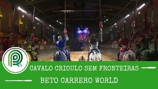 Miniatura do vídeo