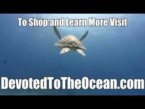 download lagu mp3 mp4 Devoted To Ocean, download lagu Devoted To Ocean gratis, unduh video klip Devoted To Ocean