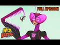 Praying Mantis Season 3 Full Episode Wild Kratts
