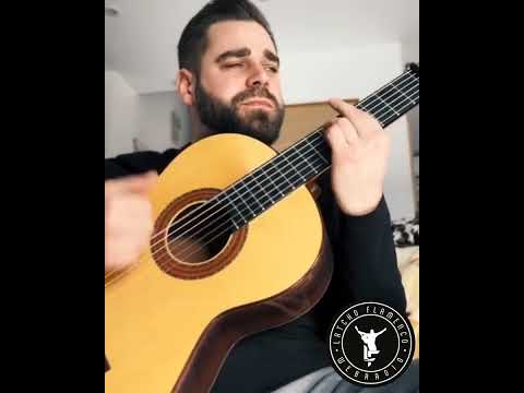 Bem Bem Maria - Gipsy Kings