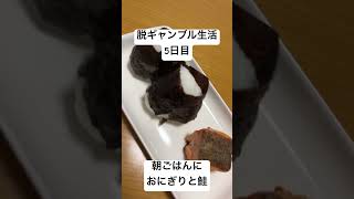 【脱ギャンブル生活5日目】朝ごはんにおにぎりと鮭