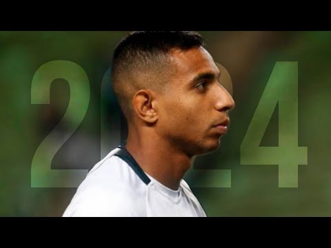 Victor Sá 2024 ● Botafogo FR ► Gols, Dribles & Assistências | HD