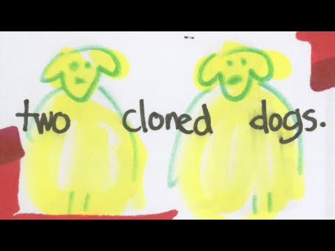 Anti-Dog (Animated Short Story)