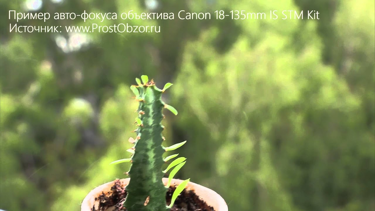 Объектив Canon EF-S 18-135mm f/3.5-5.6 IS STM