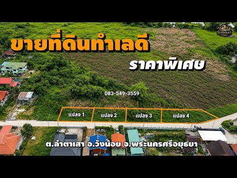 ขายที่ดิน 4แปลง ถนนโรจนะ-วังน้อย ลำตาเสา วังน้อย อยุธยา ใกล้ตลาดสี่ขวา ทางขึ้นลงมอเตอร์เวย์M6 ราคาถูก – รูปที่ 2