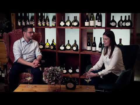 VDP.GROSSES GEWÄCHS SCHLOSSBERG Silvaner trocken - CASTELLER WEINTALK