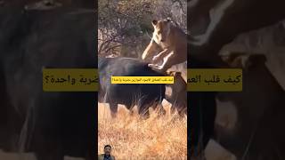 خطأ تكتيكي كاد أن ينهي القصة في ثوانٍ #shorts