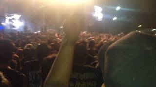 GENITALLICA - ZORRA/TRASERO