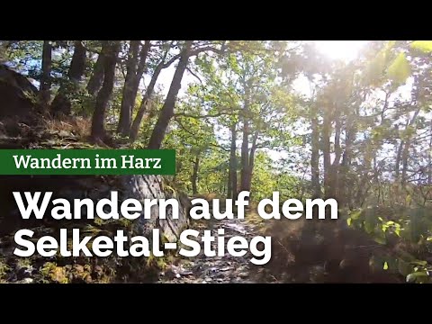 Wandern im Harz - Auf dem Selketal-Stieg Harzgerode - Mägdesprung - Alexisbad (Rundtour)