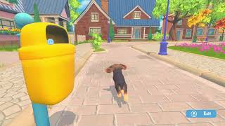 Meet Bringgo! My First Puppy Adventure - My Universe: Puppies and Kittens (No Commentary)