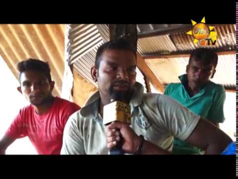 Hiru TV