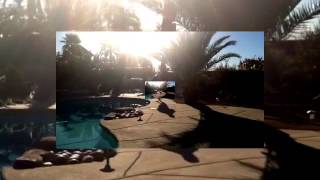 "Blow Me (One Last Kiss)" Fan Video