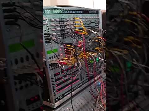 Herr Doepfer shows us what they've been working on