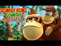 Donkey Kong Country Returns Full Game Co Op Walkthrough